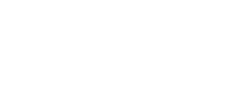 Logo Rina - Nex Line